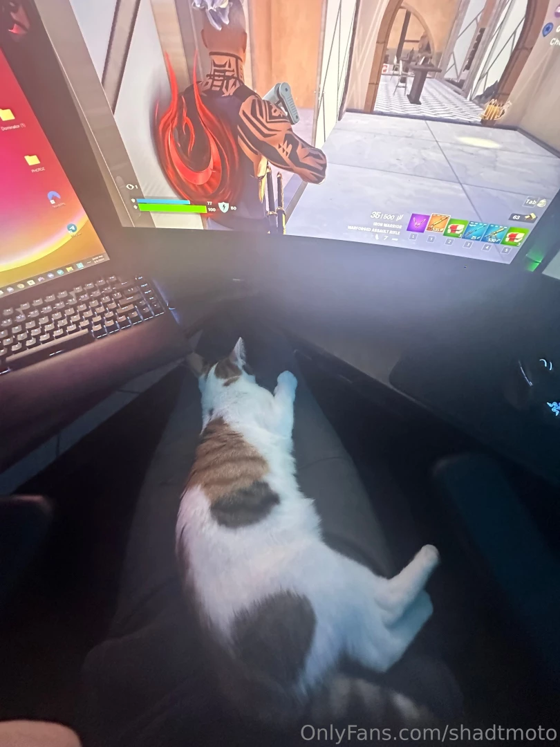 Clementine appreciates all the goodies you guys have been getting her 