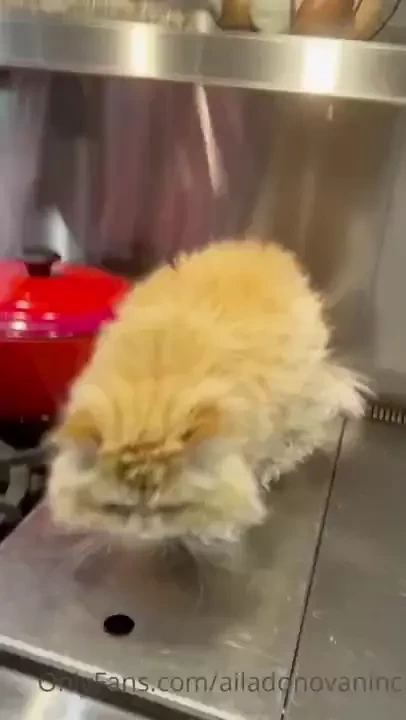 I just found this fun clip of anafoxxx and i messing around before part 1 