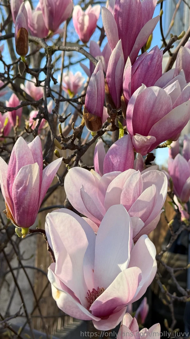 Spring vibe here part 5 