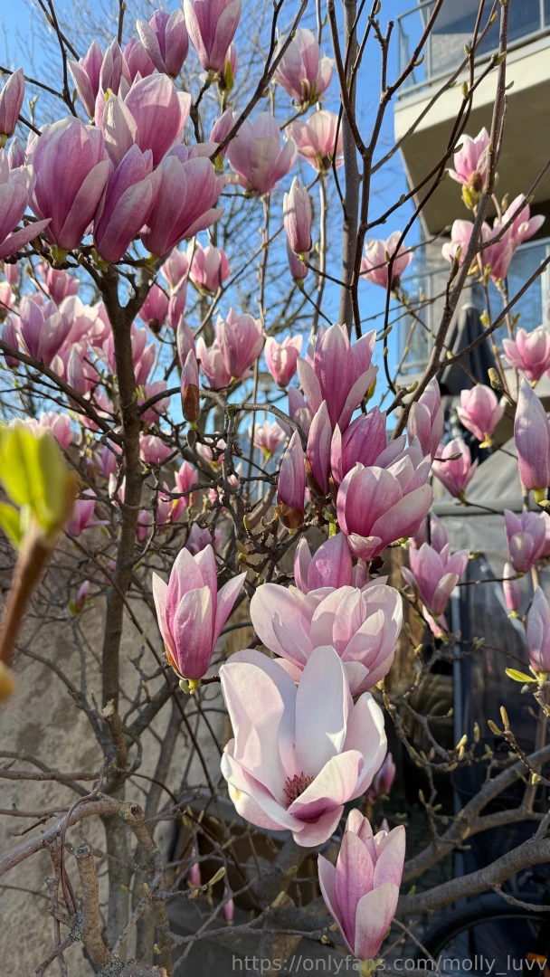 Spring vibe here part 3 