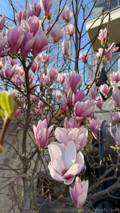 Spring vibe here part 3