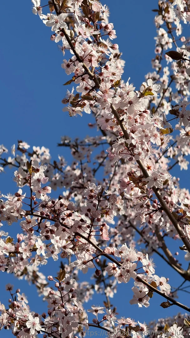 Spring vibe here part 1 