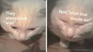 I know i shouldn t eat before bed but i can t resist a late night