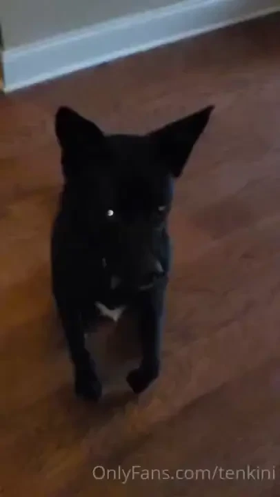 Hes gotten so good at this and that action-mlem 