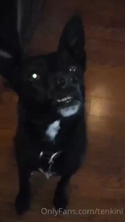 Alucard is not better at it luckily we have plenty of opportunity to 