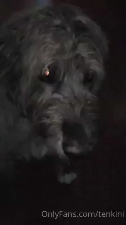 Cadoc is good at this too now now i just need to not suck 