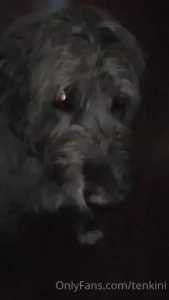 Cadoc is good at this too now now i just need to not suck