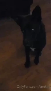 Alucard is picking it up faster than me and cadoc are