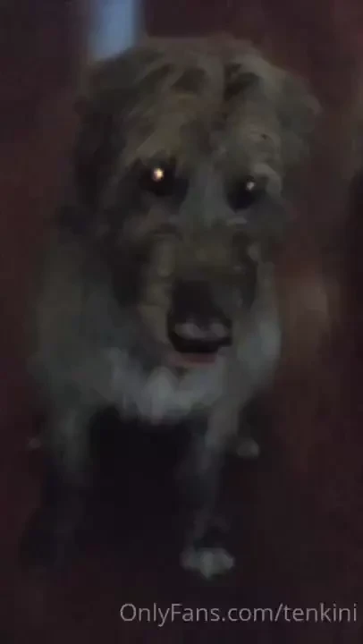 Tried the slowmo treat thing failed thought this was cute anyway 