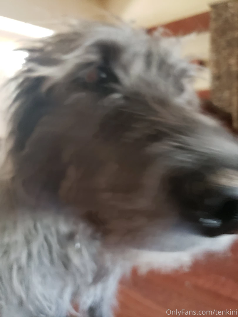 I got booped the tables were turned 