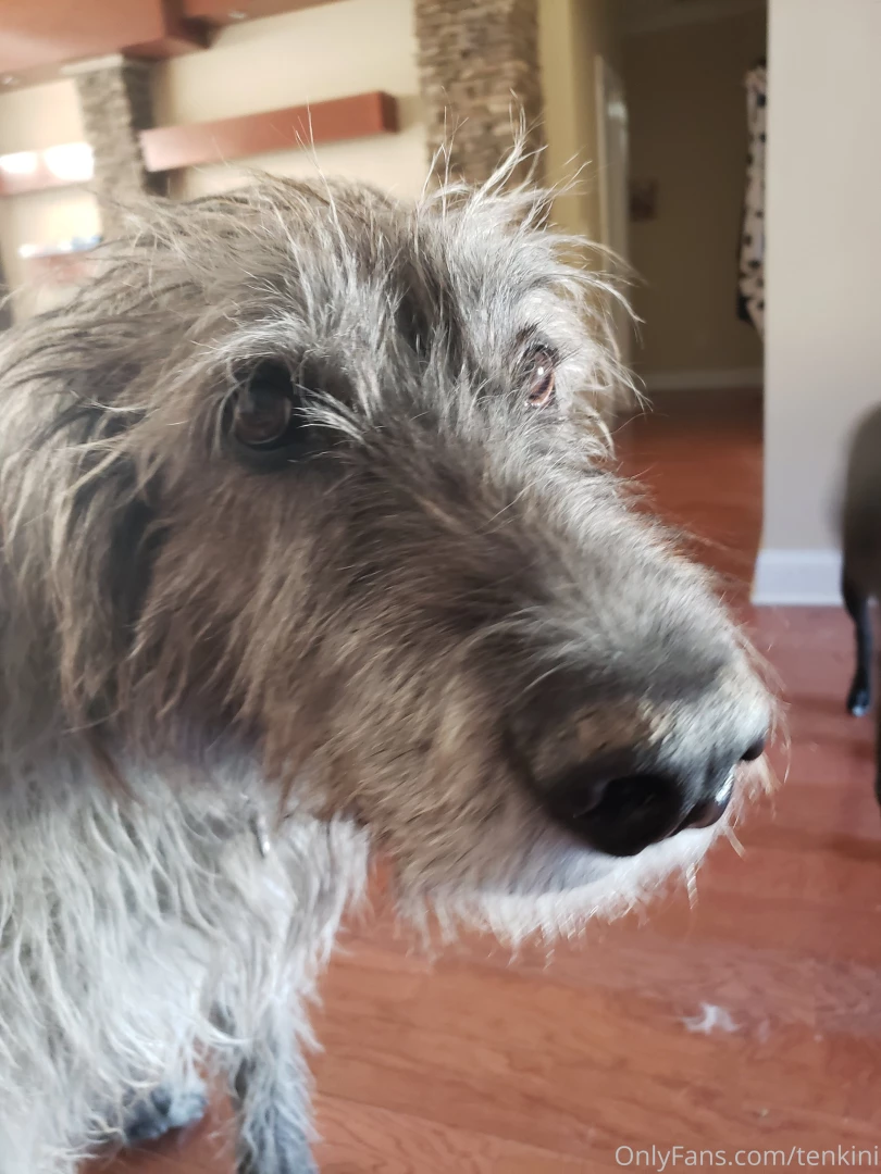 I got booped the tables were turned part 1 