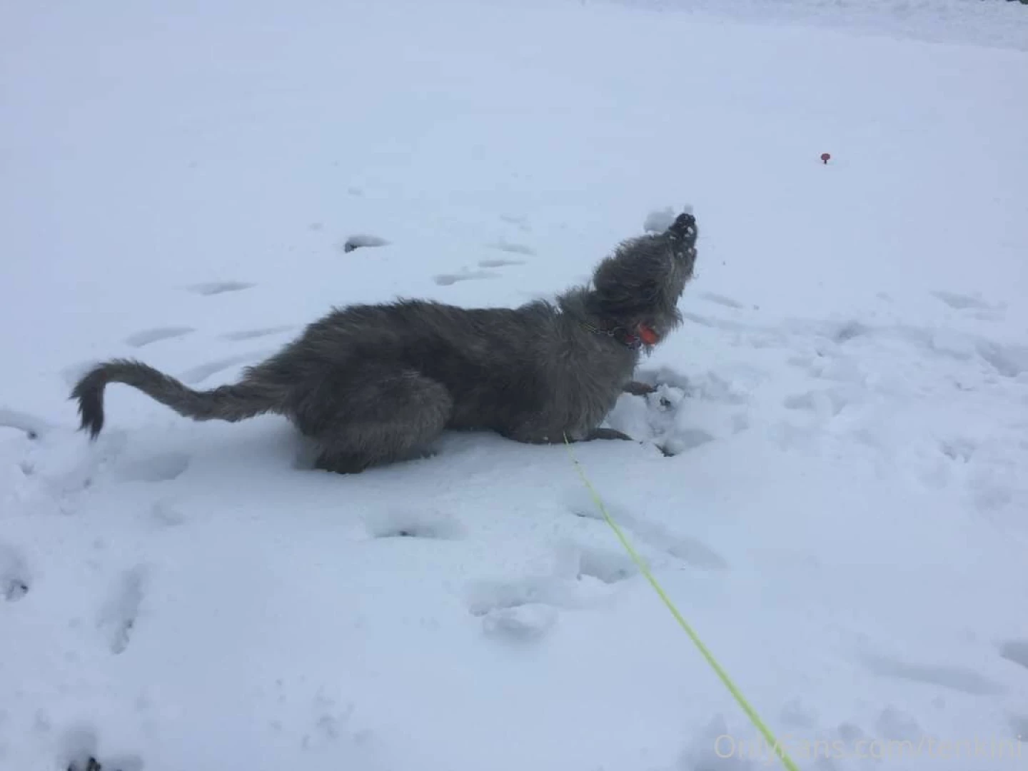 Throw back thursday since i ve been lazy about posting recently heres part 1 