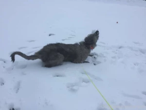 Throw back thursday since i ve been lazy about posting recently heres part 1