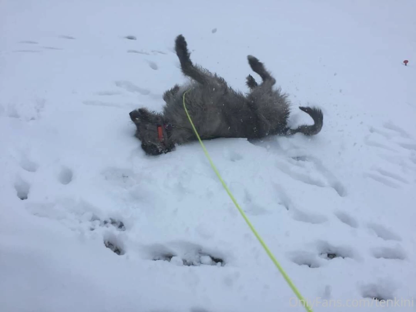 Throw back thursday since i ve been lazy about posting recently heres part 2 