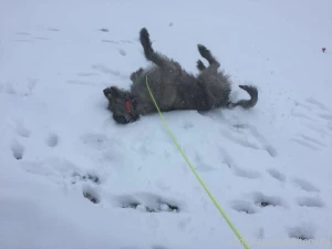 Throw back thursday since i ve been lazy about posting recently heres part 2