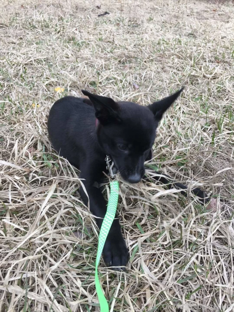 Throw back thursday since i ve been lazy about posting recently heres part 3 