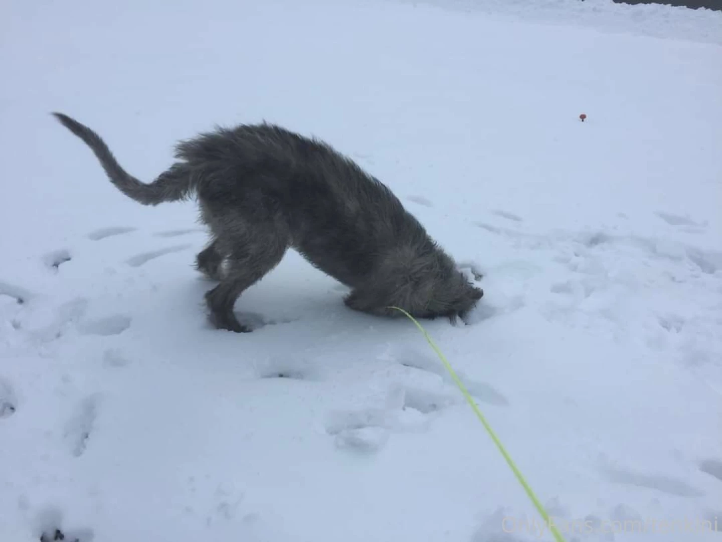 Throw back thursday since i ve been lazy about posting recently heres 