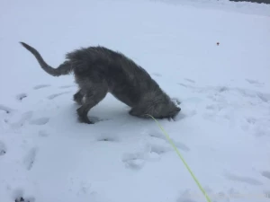 Throw back thursday since i ve been lazy about posting recently heres