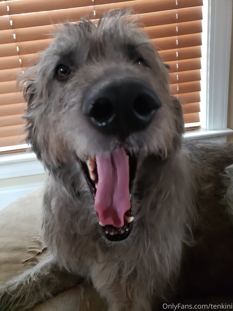 Good morning part 26568 