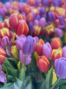 Spring time means tulips i love tulips who wants to send me some make