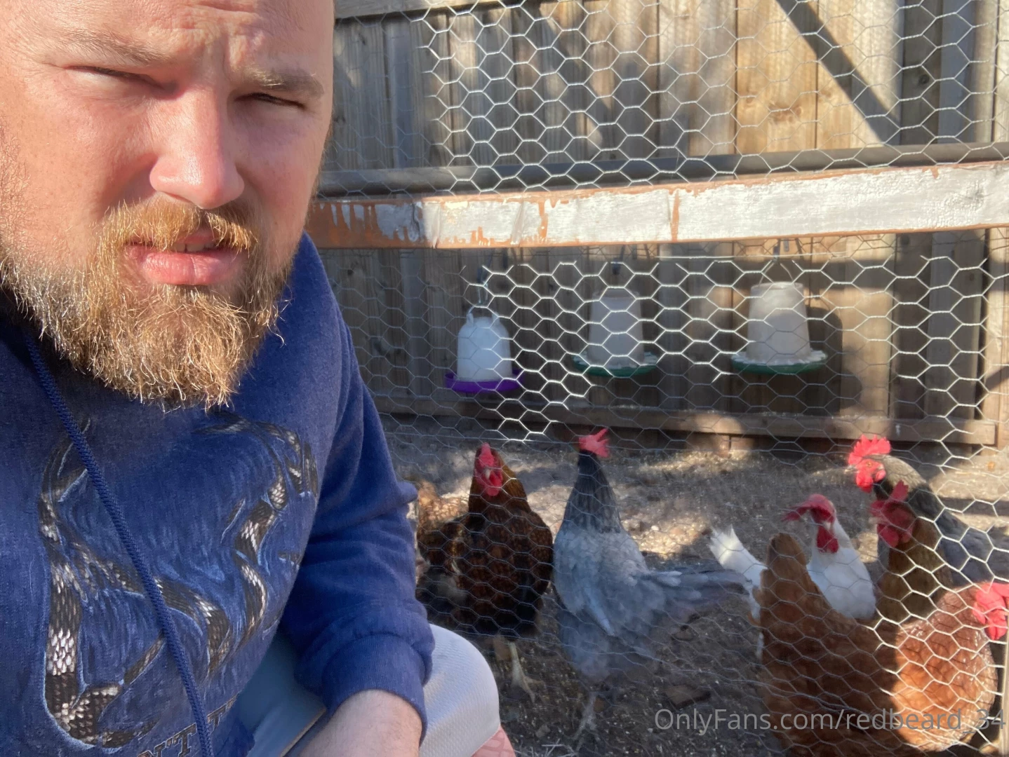 Chillin with the chickens this morning don t hesitate to send any part 1 