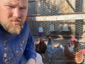 Chillin with the chickens this morning don t hesitate to send any part 1