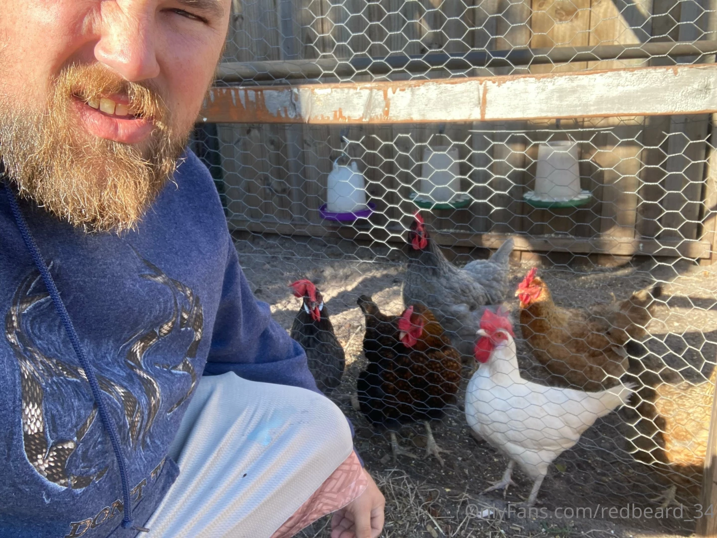 Chillin with the chickens this morning don t hesitate to send any 