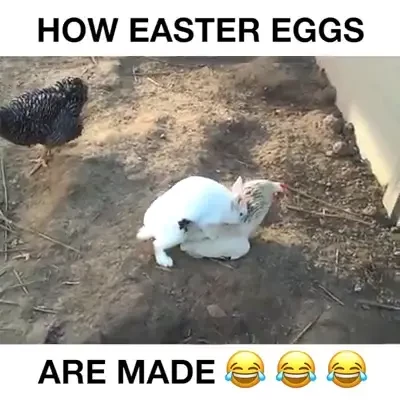 Happy easter to u all ill be doing messages on wed its been very 