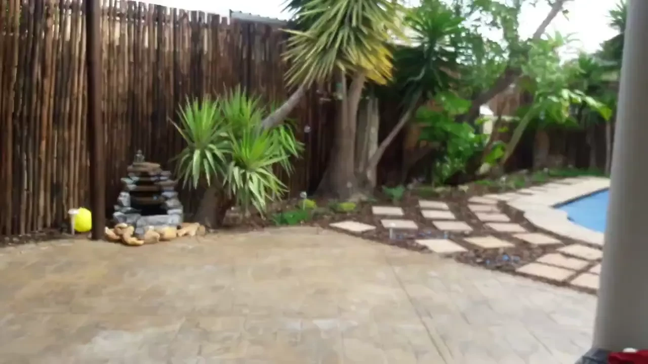 My garden and the sweet birdies i feed everyday 