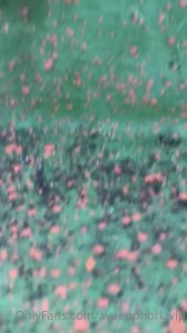 You guys remember this i miss summer so much so i decided to go part 3