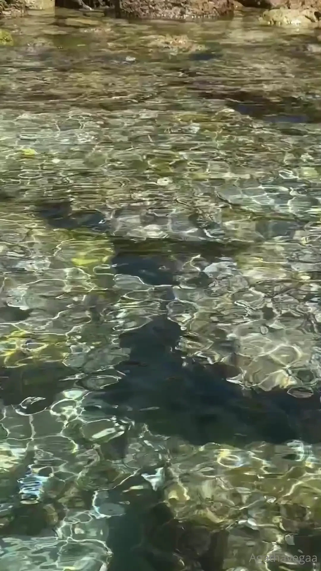 I have so many videos in my phone that are just laying there so they part 1 