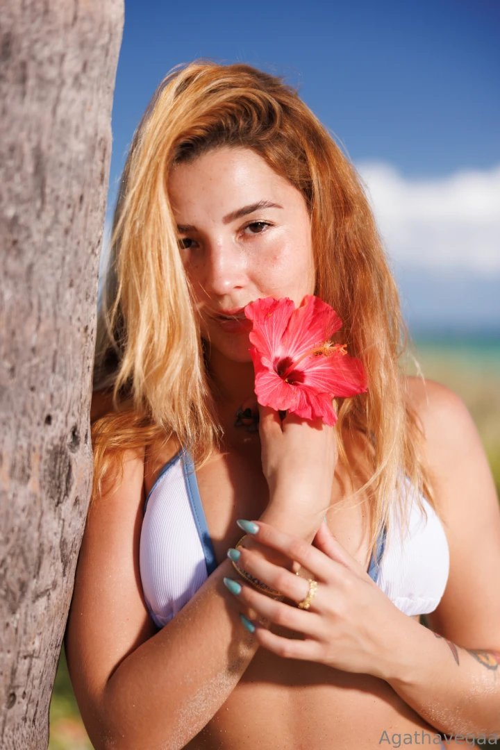 Which flower would you pick for me part 1 