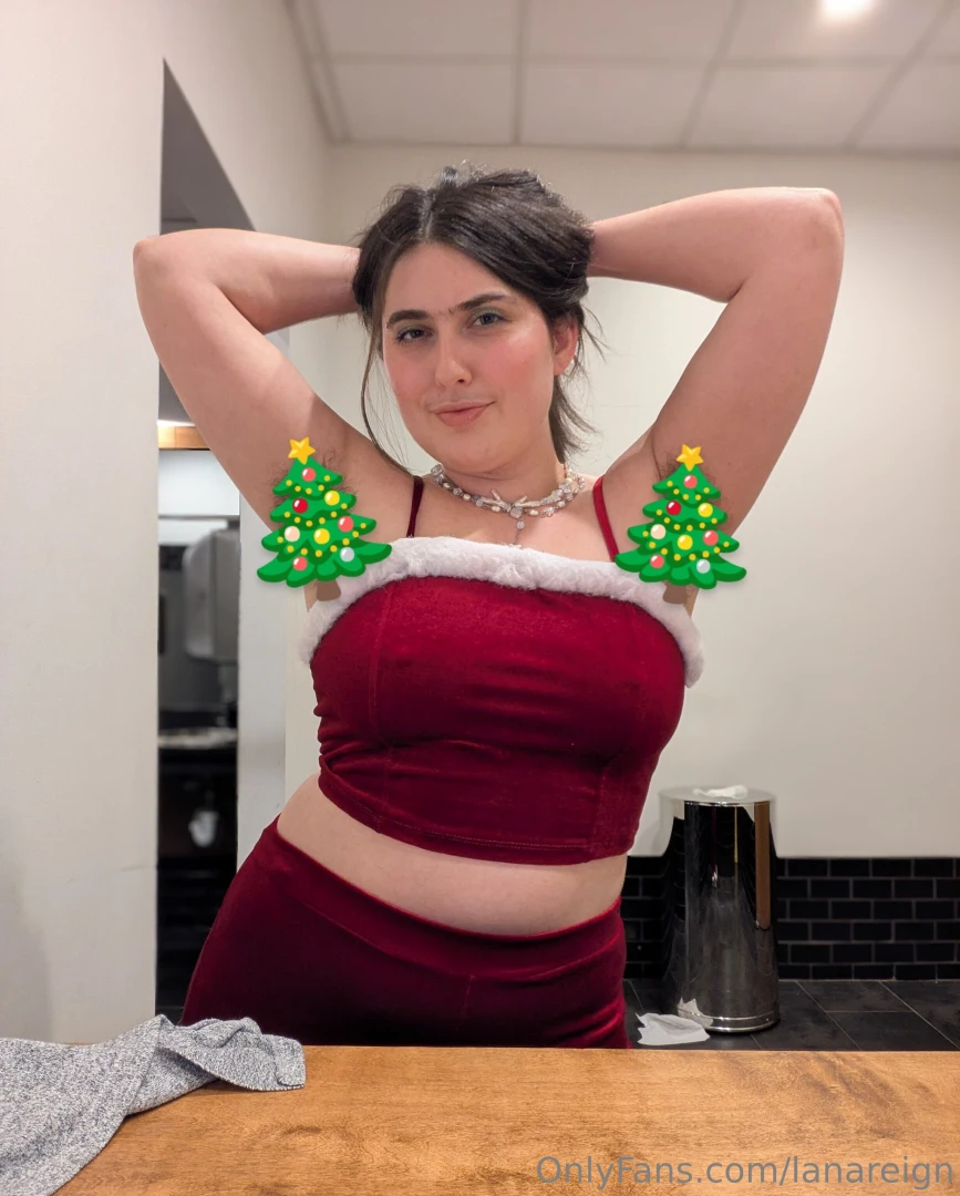 Santa s girlfriend s chwithmas pitties 