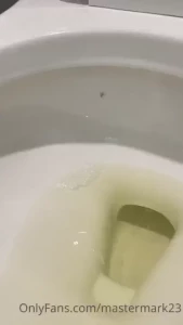 Spider vs toile t which one will come out victorious lmao