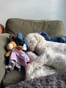 Took lily on a long walk first thing this morning and she knocked out
