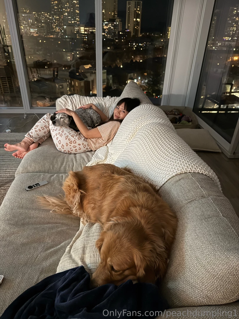 Booked amp busy this weekend dog sitting i have 4 dogs today and part 2 