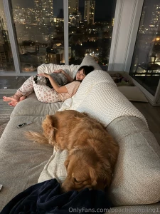 Booked amp busy this weekend dog sitting i have 4 dogs today and part 2