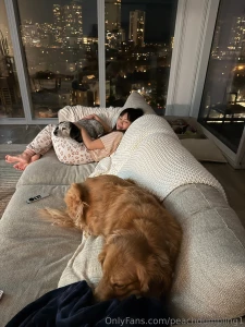 Booked amp busy this weekend dog sitting i have 4 dogs today and part 1