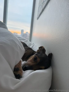 Last day with roo-chan he s a boy so idk why i like to call him that part 1