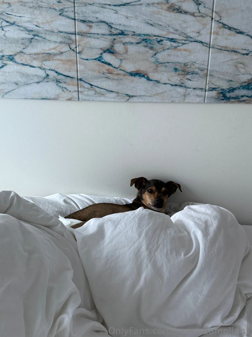 Last day with roo-chan he s a boy so idk why i like to call him that 