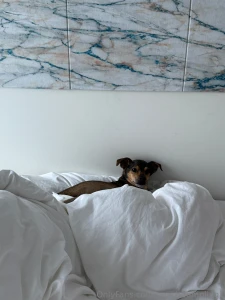 Last day with roo-chan he s a boy so idk why i like to call him that