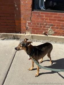 Last day with roo-chan he s a boy so idk why i like to call him that part 2