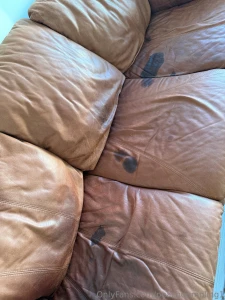 Yo this dog s di p3r leaked all over my couch so i ve been cleaning