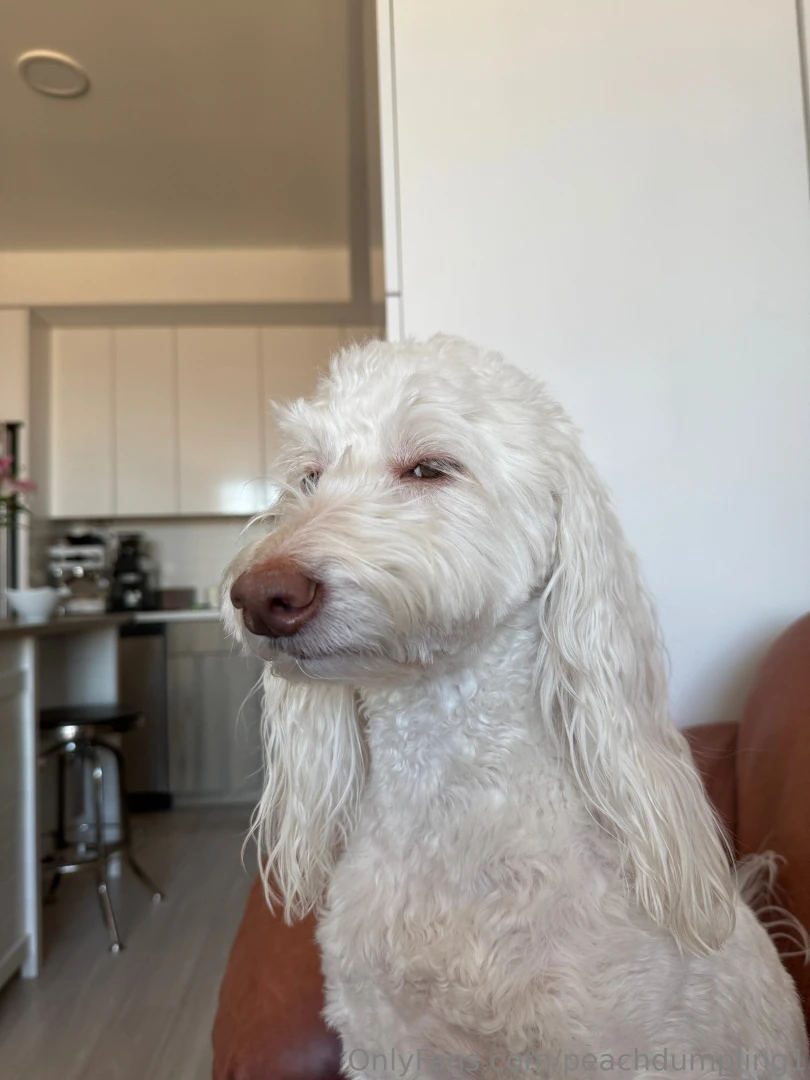 Look who s back lily mae jenkins i have her next to my crochet peach 