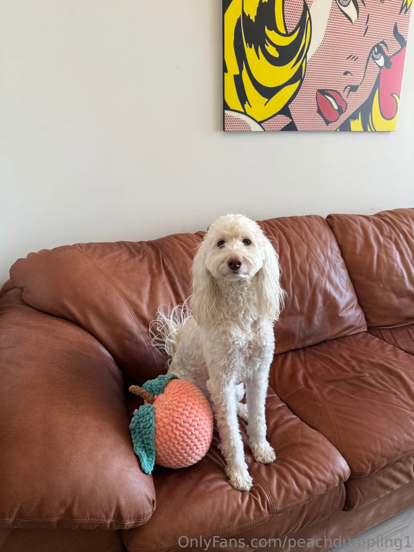 Look who s back lily mae jenkins i have her next to my crochet peach part 1 