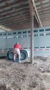 Gotta swing those balls