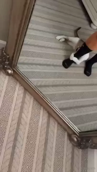 Got out of bed and hit the gym time to enjoy the holiday p s i havent part 1 