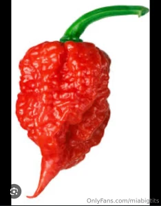 So i m the process is developing a spicy sauce i know americans have a