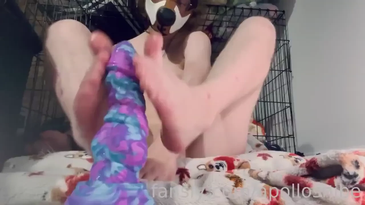 Puppy pawjob anyone 3 footjob feet puppyplay petplay 