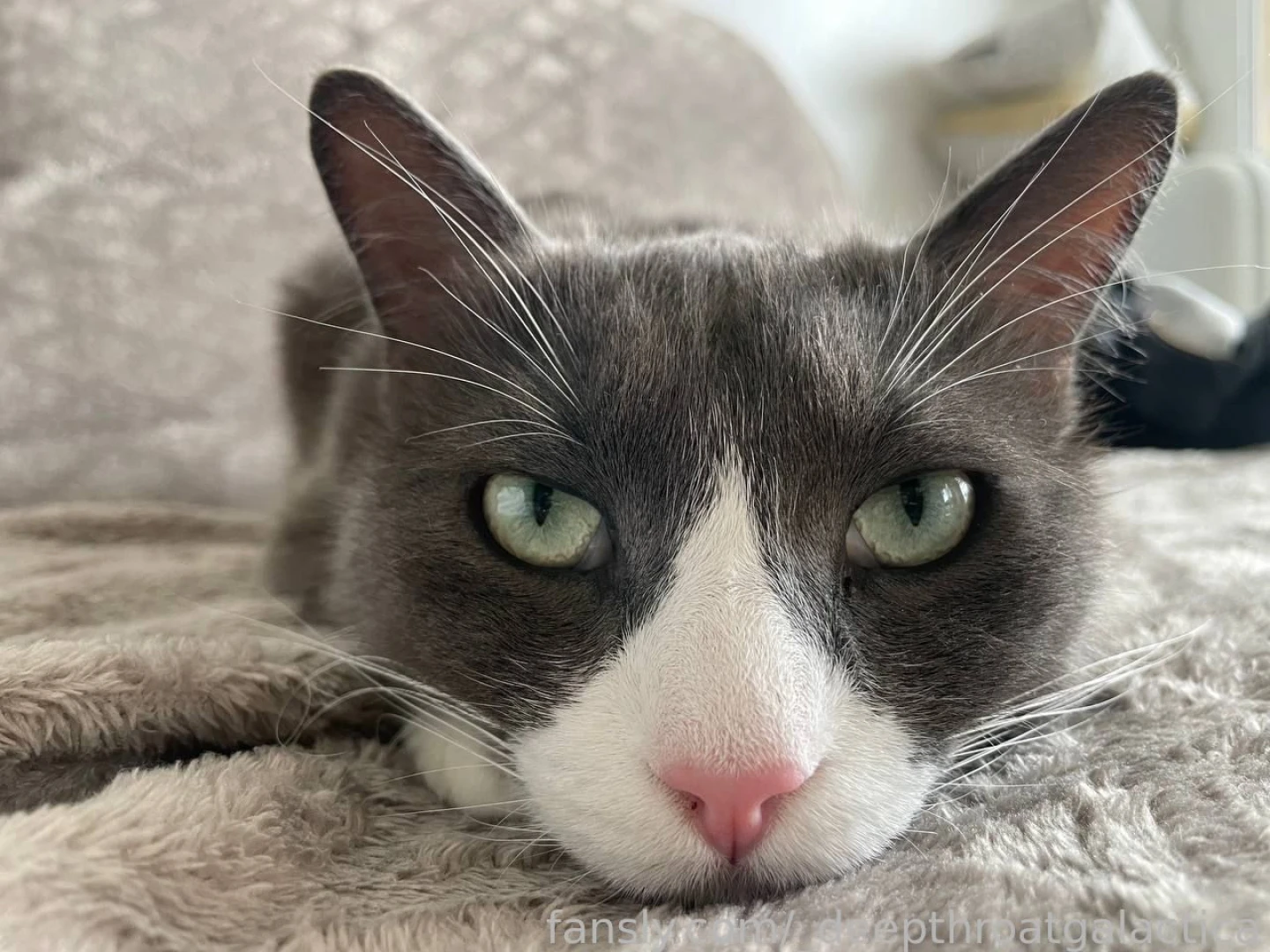 A couple lil facts about me i m obsessed with tattoos they re my way part 2 